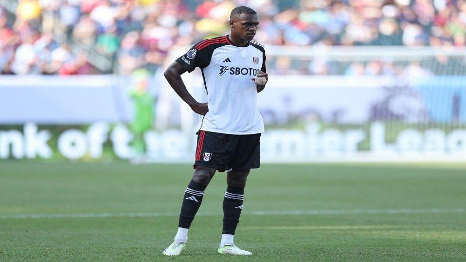 Fulham defender Issa Diop